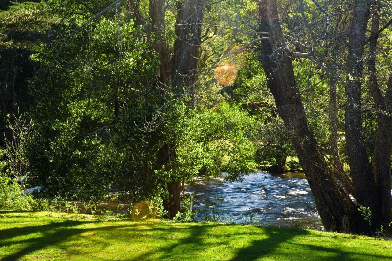 Russell Falls Holiday Cottages National Park Exteriér fotografie