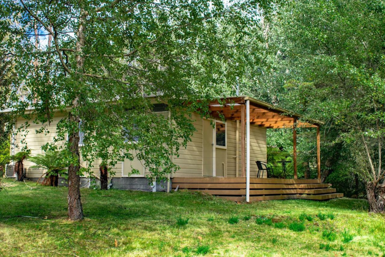 Russell Falls Holiday Cottages National Park Exteriér fotografie