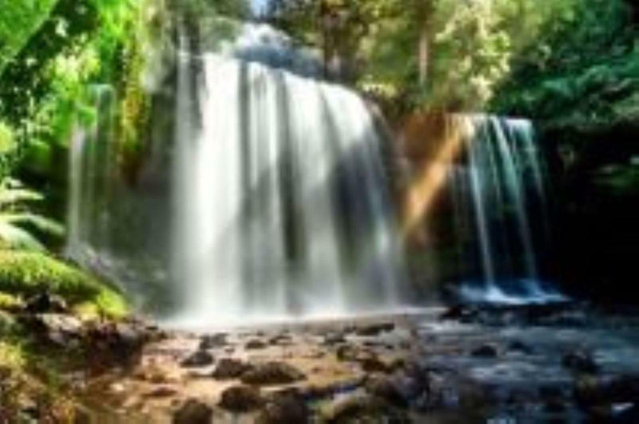 Russell Falls Holiday Cottages National Park Exteriér fotografie