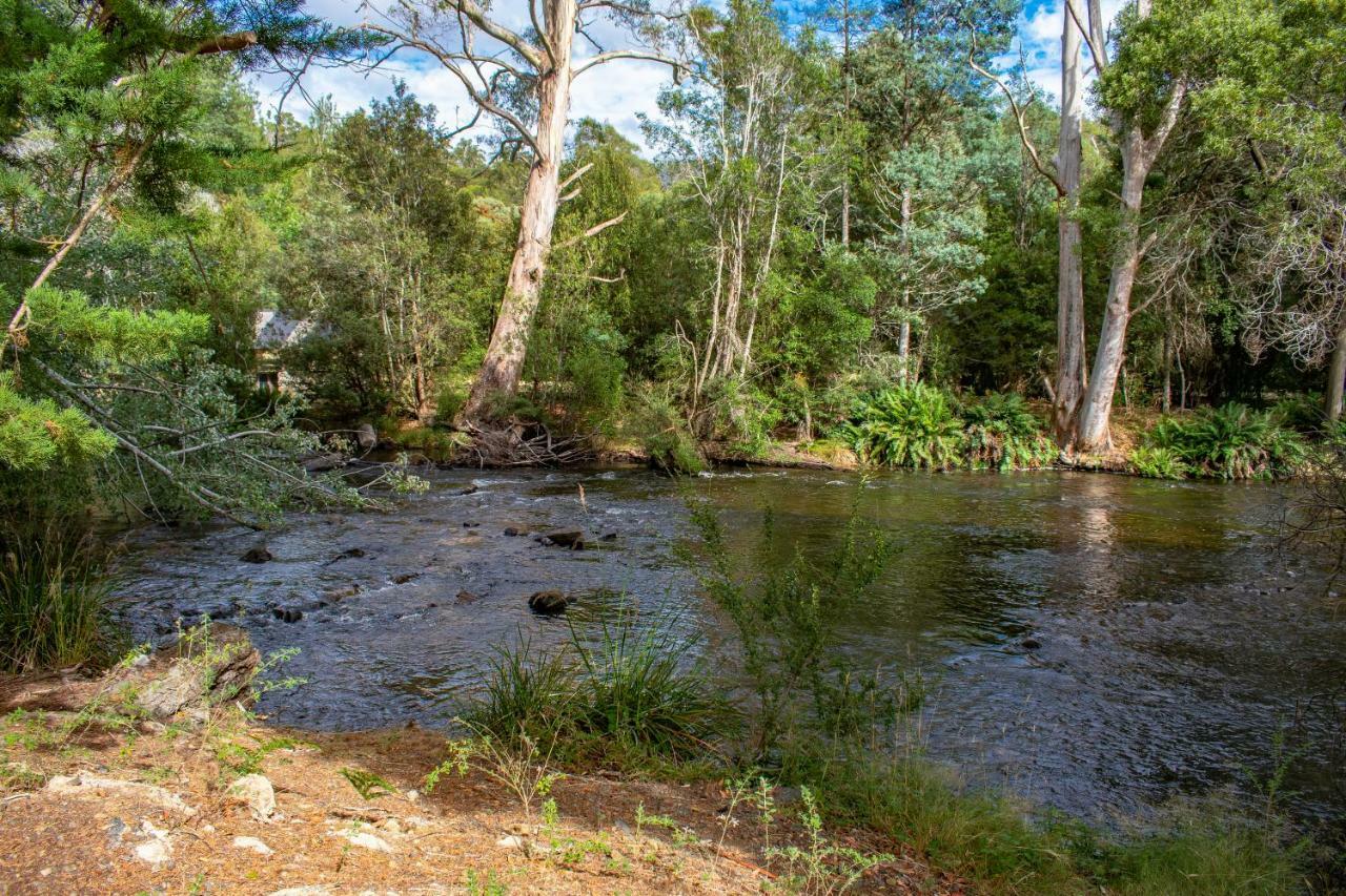 Russell Falls Holiday Cottages National Park Exteriér fotografie