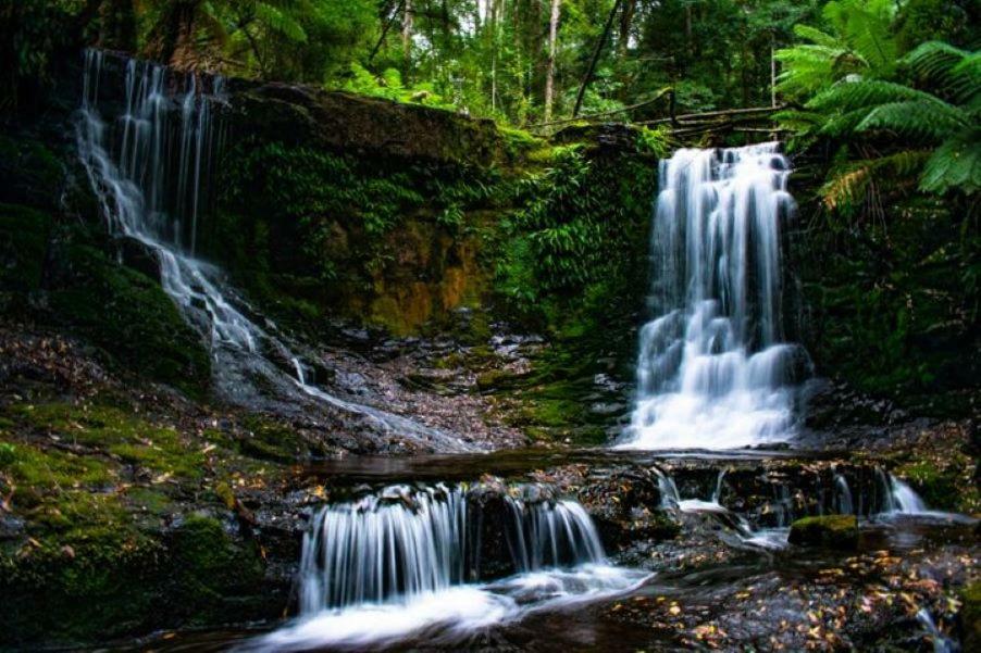Russell Falls Holiday Cottages National Park Exteriér fotografie